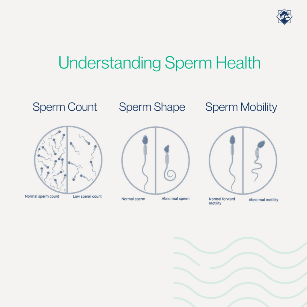 Male Fertility: Understanding Sperm Health at Viera Fertility Clinic