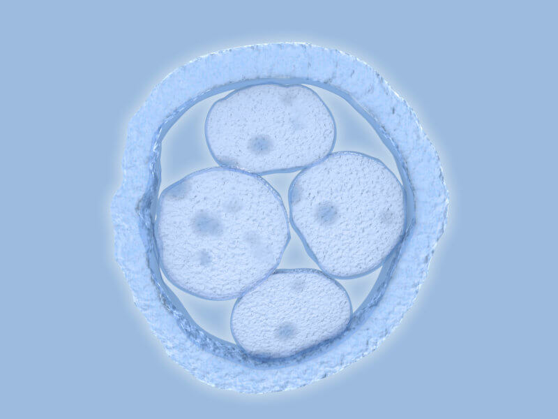 Is Frozen Embryo Transfer Right For My Family?