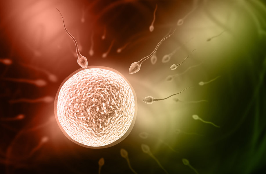 Set of biology objects. Chromosome and DNA, egg and sperm, microscope.