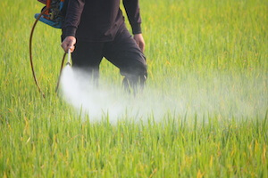 Pesticides and your health: three generations later?