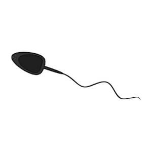 Donor age and sperm quality