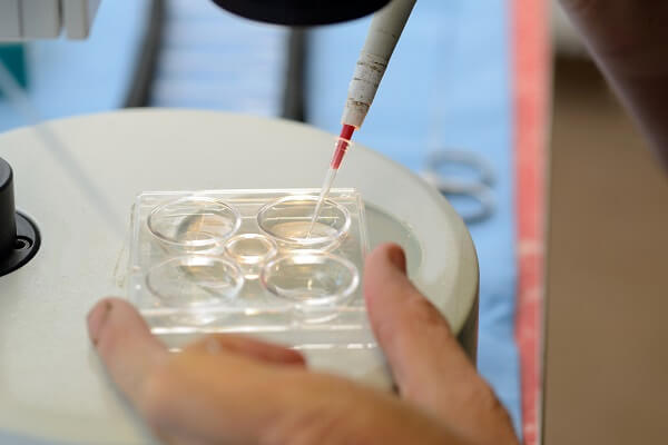 A technician draws up a live embryo into a pipette, ready for implantation