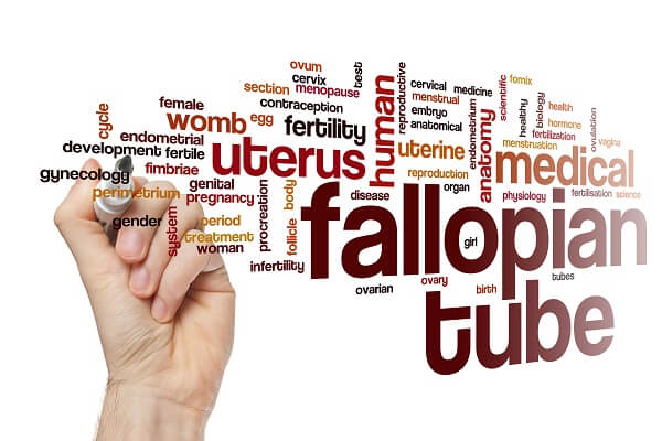 Fallopian tube word cloud concept
