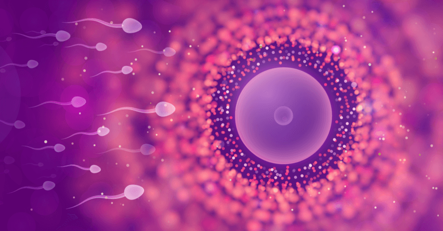 Genetics and Their Role In Fertility  