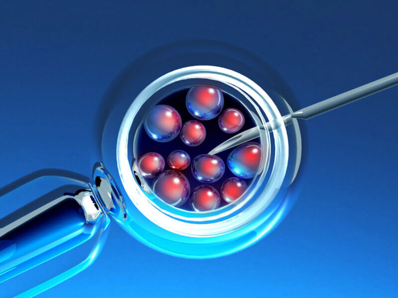 Fresh and Frozen Embryo Transfer IVF. In vitro fertilization. 3d render