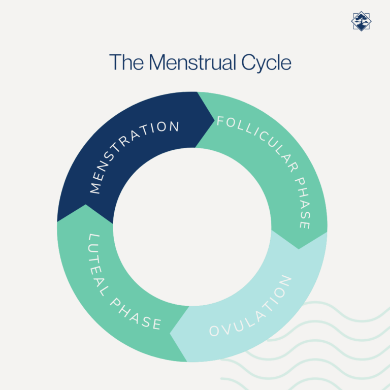 Understanding Ovulation Challenges And Solutions Viera Fertility Center